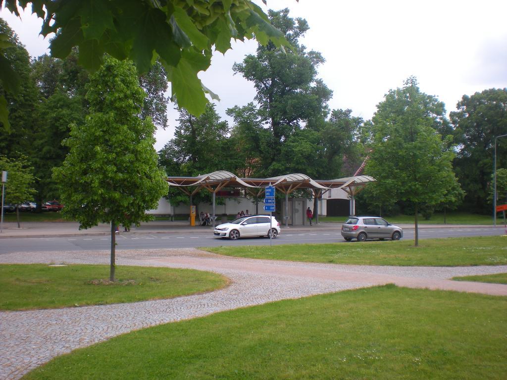 Sophia Cozy Self Catering Apartment Dolni Brezany Exterior photo